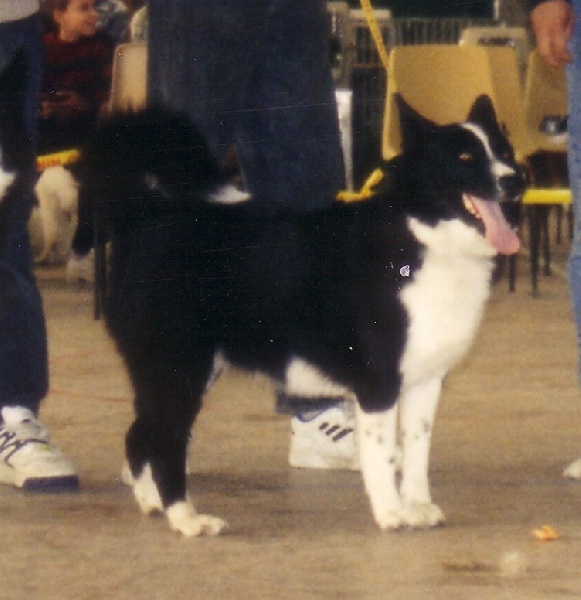 Fidji de la Côte des Lutins