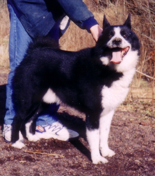 Fjord de la Côte des Lutins